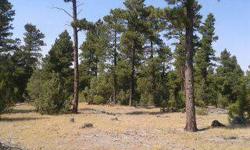 Vacant land. Power to lot line. Beautiful property for a home. Build close to the road, back in the trees, or far enough back to have a wide open view of the hills to the west. 5 prime acres near Keyhole!Listing originally posted at http