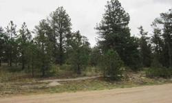 Beautiful lot with towering pines, lots of sunshine, nearly flat access & gently sloping that is perfect for rear walkout. Beautiful views of Bijou Basin. Big pines, meadow, & privacy. Backs to no build reserve . Open range land with virtually no tax as