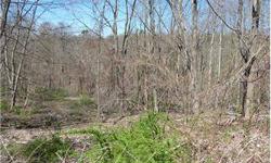This wonderful wooded lot features 12.88 acres and has a great view of east brook, nice for someone who embraces nature and a home in the country!
Listing originally posted at http