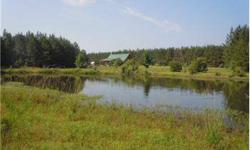 Ram Horn Plantation located in Southern Hampton County is 240+/- acres of mature pine plantation with 3br and 2ba log cabin that was built in 2004 overlooking a large pond stocked with bass, bream and catfish. Ram Horn Plantation is a outdoormen's dream