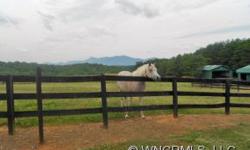Scenic Hill Farm is over 35 Acres of pasture with numerous Morton Barns, 3/2 log home, magnificent Blue Ridge Mountain Views, dressage arena, In-door arena, carriage arena, etc. Too much to mention here. Oh yeah, ride the trails straight from your house.