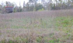Plat included in associated docs. Great property located just mins from Loris and Hwy 22 access. Pond located on property. Past mobile home on property and old well and septic located on property but cannot verify condition. Additional acreage can be