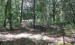 This corner lot is nestled in a rural community near the Ocala National Forest and only a short ride from Orlando. Special financing available