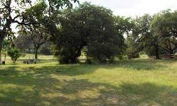 A perfect lot (.317) with majestic oaks to build your dream home. Quality restrictions. Central water & sewer. Priced to sell.