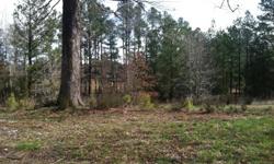 30 acres off Flatfoot Rd Dinwiddie - $90,000Call owner at 804 216 2274 about details