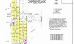 "REDUCED" - (40) FULLY PLATTED & APPROVED SINGLE-FAMILY BUILDING LOTS. SELLER FINANCING AVAILABLE. REASONABLE DOWN-PAYMENT. COMPETITIVE INTEREST RATE. Located in the Town of Lady Lake and less than 1/4 mile from The Villages, Hwy 27, Hwy 466, etc. All
