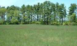 Wonderful pastoral setting offered here in this two acre building lot. Tremendous access to major routes. A truly affordable chance to build in the Oyster River School District. Lot has been surveyed and has test pits and soil tests available upon