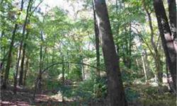 Great scenic property. Great for builders or your dream home!!!- between these 2 lots, possible 4 houses total( 2 lots each if sold with mls #5962556) Rolling hills and tree lined wooded lot. With Possible Subdivision-large enough for 2 houses with