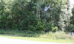 Wont find a better buy with 2 acres and water access! Wooded lot will allow you to keep your privacy and enjoy nature.Listing originally posted at http