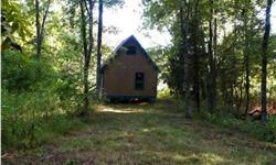 Owner will consider financing! Ask your agent about the terms. Escape to the country to your private cabin overlooking a paradise for waterfowl! The twenty acres are mostly wooded. New well and septic system. Cabin has electricity and is being sold as