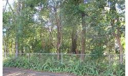 Two building lots in great area of DeLand, convenient to shopping, schools and downtown. Lots are 75 x 140 and 95 X 140. High and dry with beautiful trees. Price is per lot. survey available.
Bedrooms: 0
Full Bathrooms: 0
Half Bathrooms: 0
Lot Size: 0.42