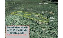 Large forested tract of more than 40 acres with long gradual driveway in to a cleared, level two acre site with small man-made pond. Electricity installed to edge of site. Land rises to near summit of a low mountain with open forest. Near Mt. Cardigan,