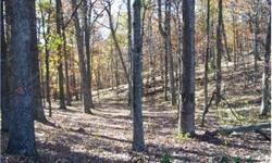 Beautiful 9+ wooded acre lot in the very nice subdivision "Woods at Taylor Lake". Enjoy the large lake and common area where you can swim, fish, boat ride, jet ski, etc. Close to Keyser, Romney, and Cumberland MD.
Bedrooms: 0
Full Bathrooms: 0
Half